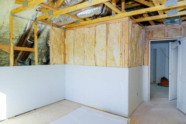 Best Insulation Replacement Services  in Piney Point Village, TX