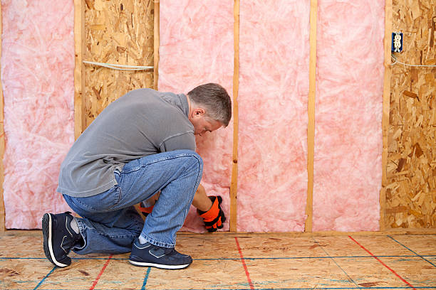 Best Insulation for New Construction  in Piney Point Village, TX