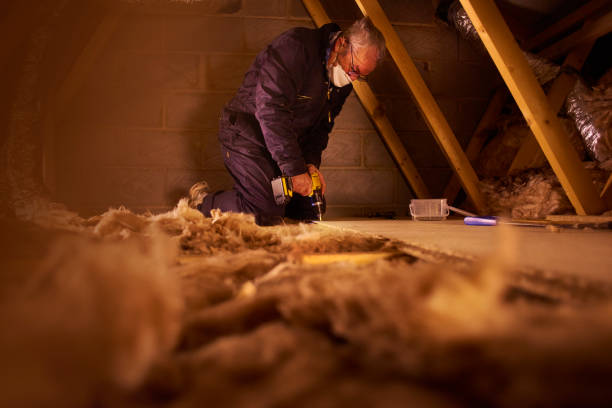 Best Insulation Repair Services  in Piney Point Village, TX